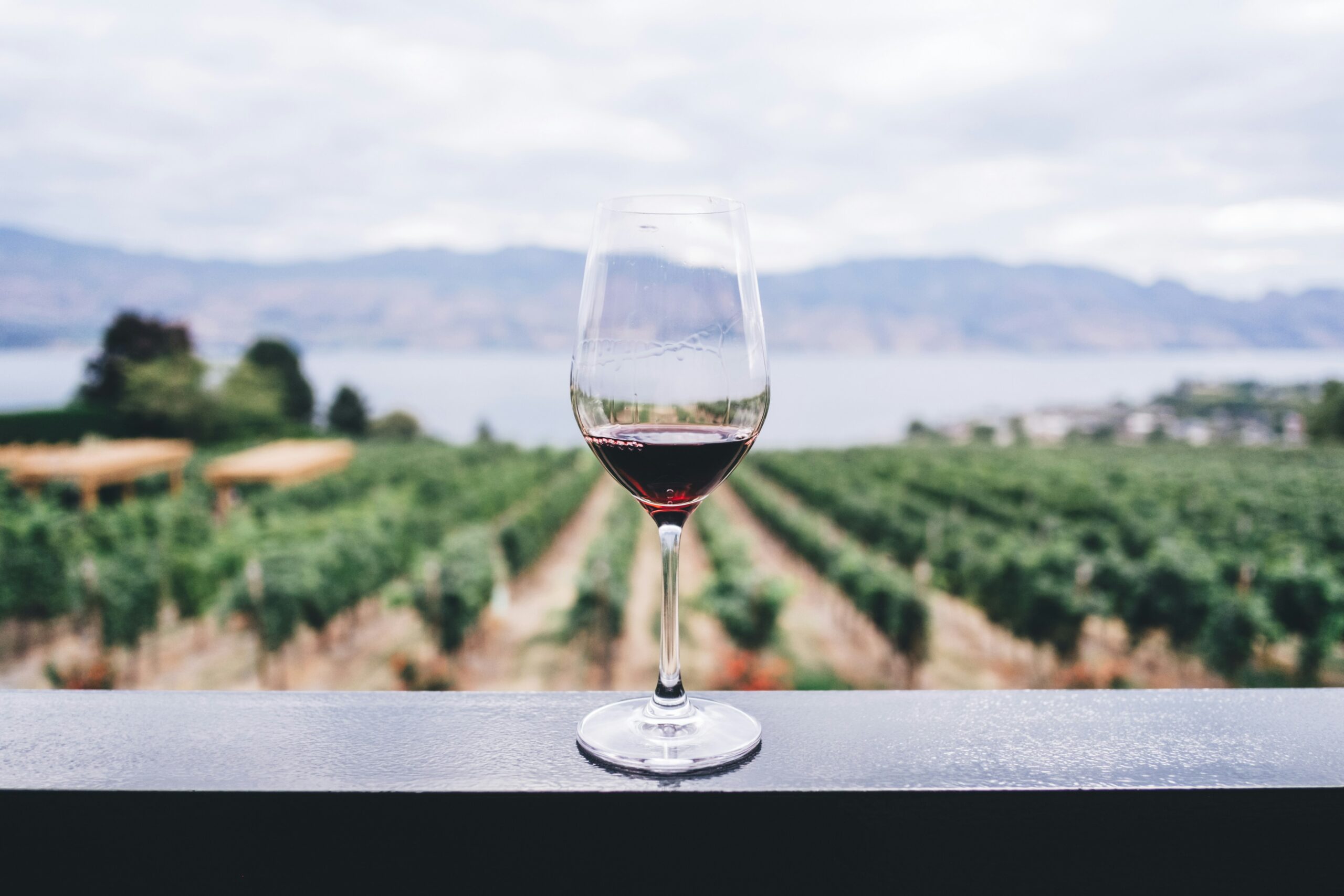 A Journey Through Portugal’s Wine Country: A Suggested Wine Tour Route